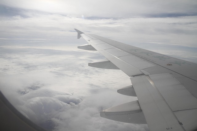 Free Sky Wing photo and picture