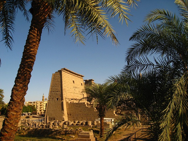 Free Luxor Temple photo and picture