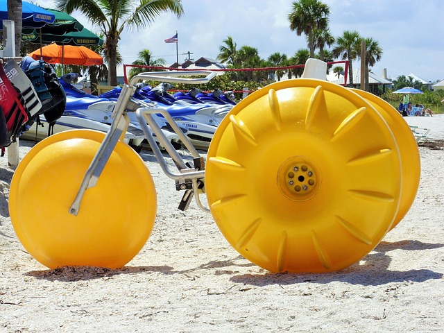Free Florida Summer photo and picture