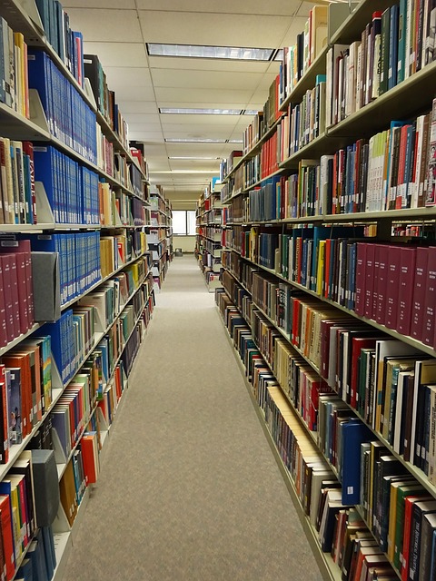 Bibliothek, Lernen, Bücher, Schule