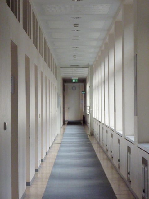 Free Light Doors photo and picture