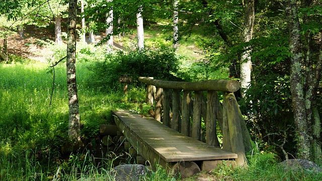Free Bridge Dolly photo and picture