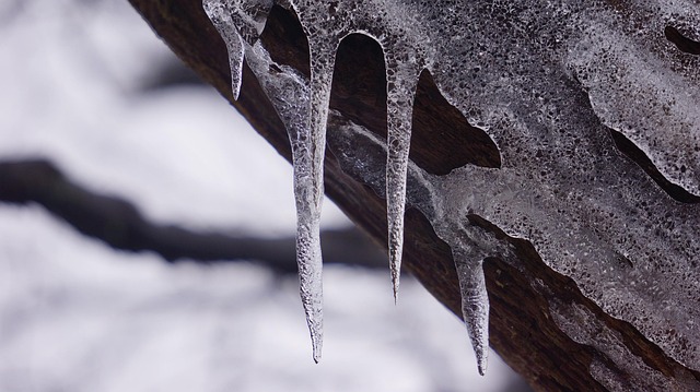 Free Icicle Ice photo and picture