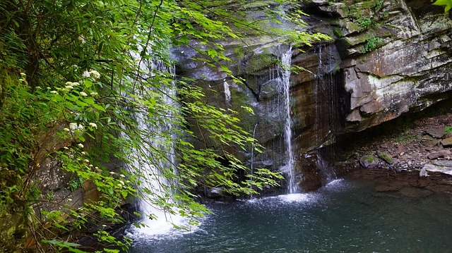 Free Waterfall Cascade photo and picture