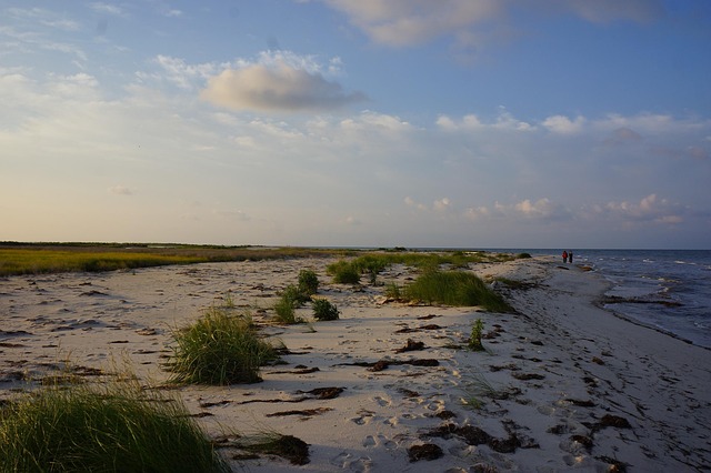 Free Morning Beach photo and picture