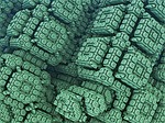 sponge, menger, koch
