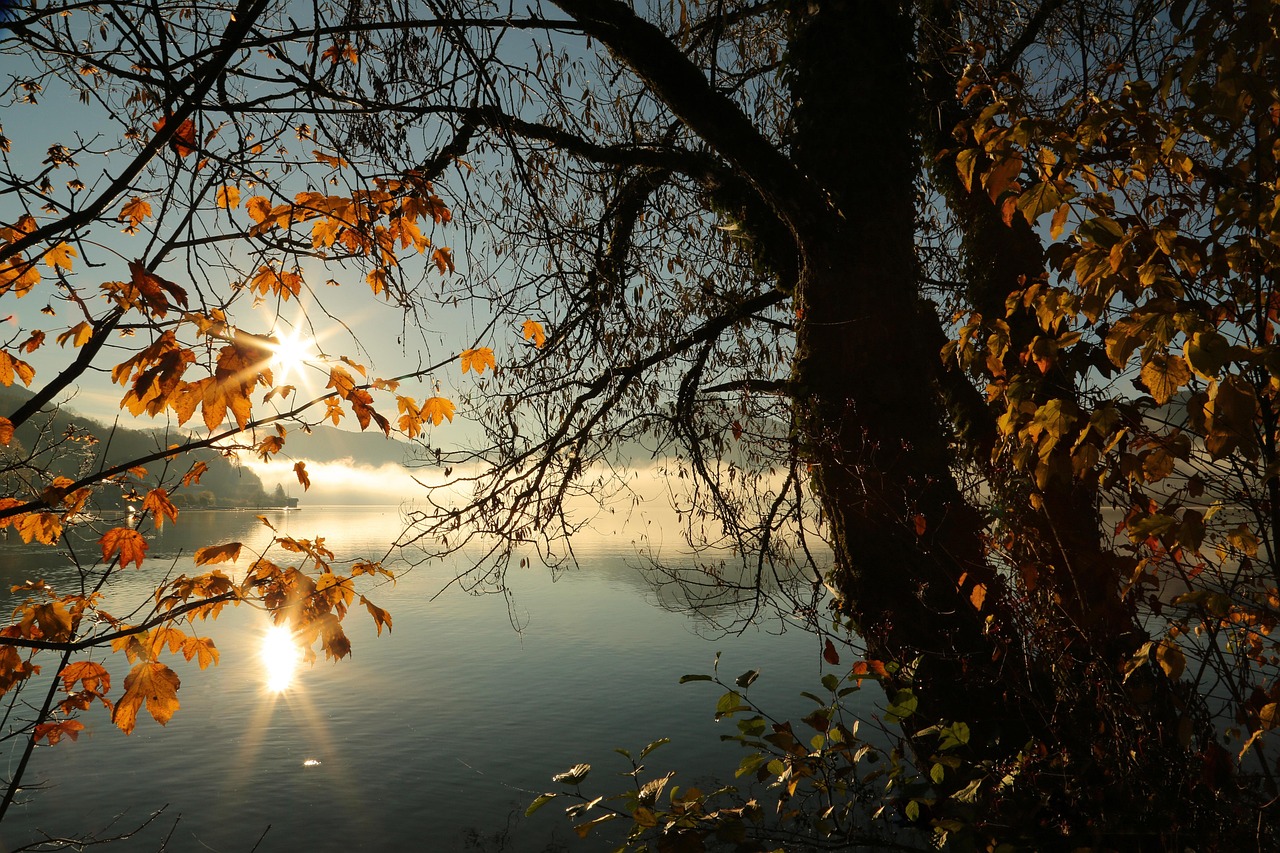 Landscape - free online jigsaw puzzle photo