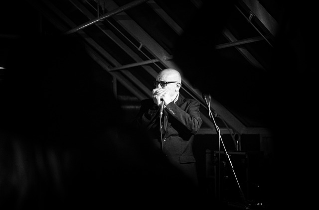 band, music, mouth organ, rock, concert, musical, people, musician, group, sound, performance, stage, instrument, men, silhouette, entertainment, jazz, club, male, festival, performer, playing, play, person, live, singer, equipment, black music, black group, black rock, black concert