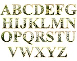 letters, alphabet, set