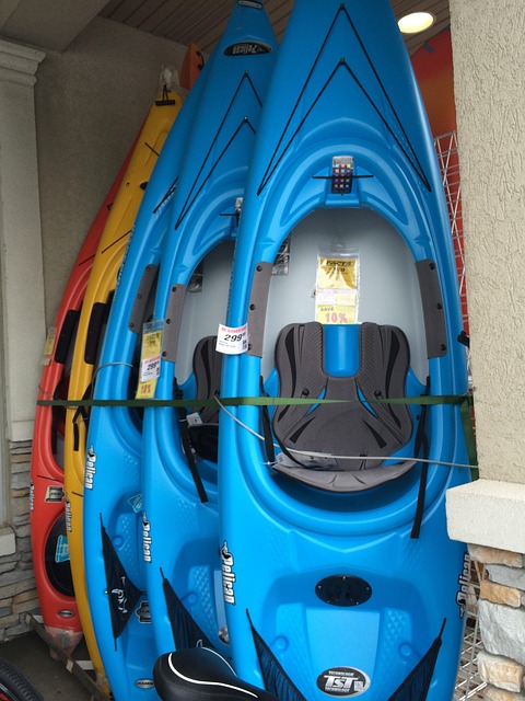 Free Kayak Nature photo and picture