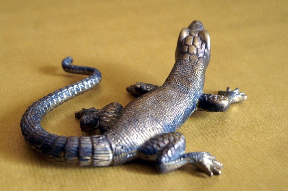 Gecko Tokoh Reptil Foto Gratis Di Pixabay