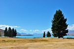 serenity, lakefront, tree