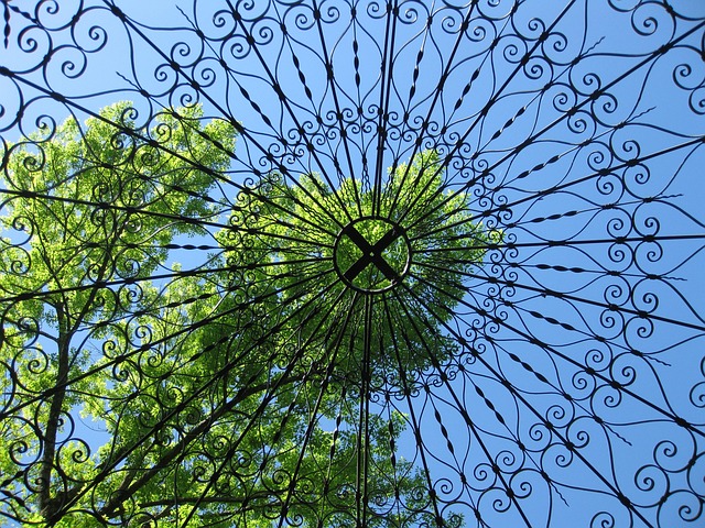 Free Sky Tree photo and picture