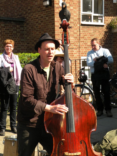 Free Musician Cello photo and picture