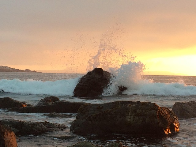 Free Beach Splash photo and picture