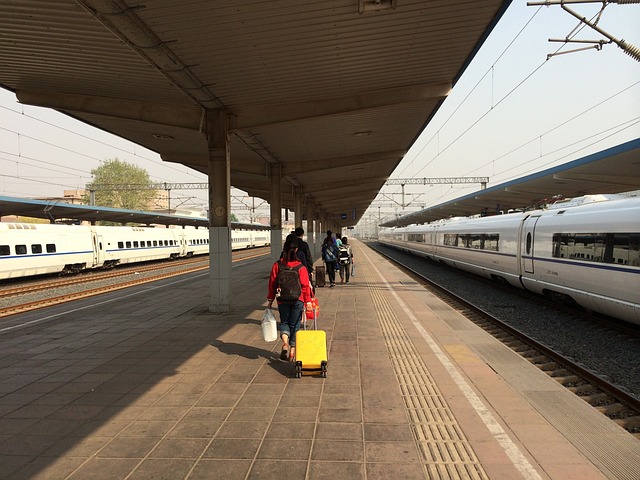 Tren, Valiză, Fată, Gară, Transport