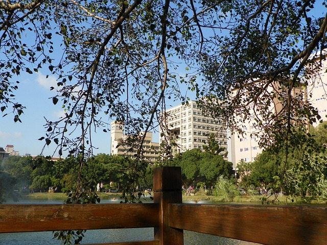 Free Qiu Si Wooden Walkway photo and picture