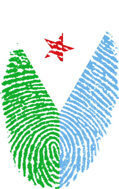 2 Free Djiboutian Flag Djibouti Images Pixabay