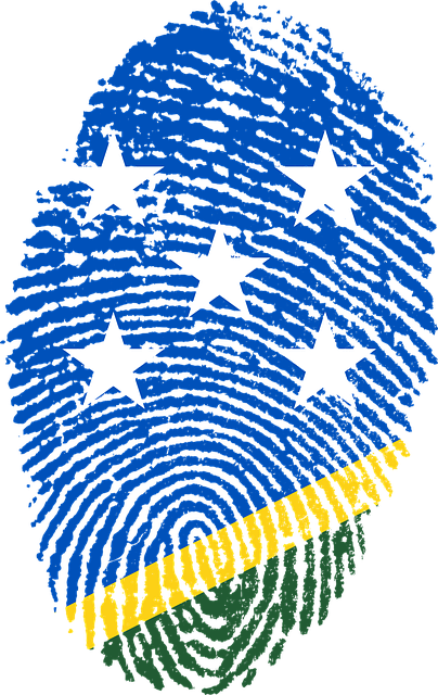 Free solomon islands flag fingerprint illustration