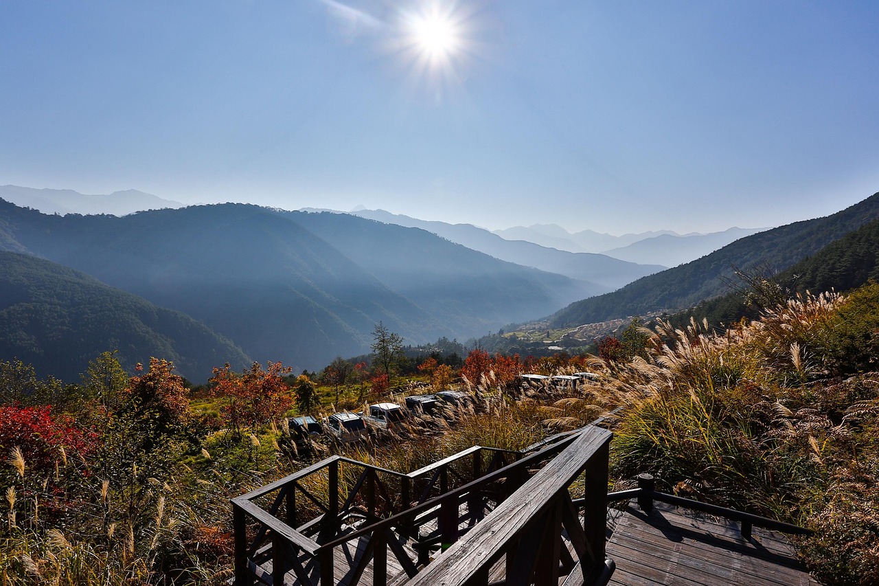 超过 100000 张关于“青空 太陽 光”和“光”的免费图片 - Pixabay