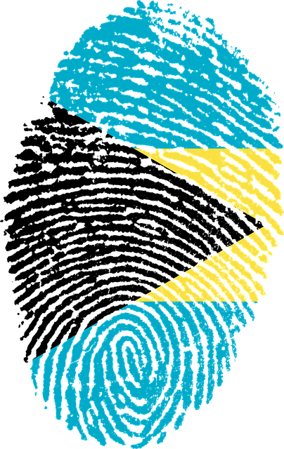 10,000+ Free Flag Of Bahamas &amp; Bahamas Images - Pixabay