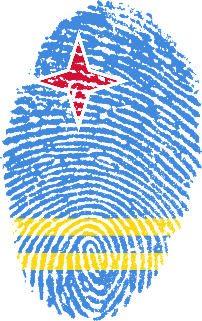 Free aruba flag fingerprint illustration