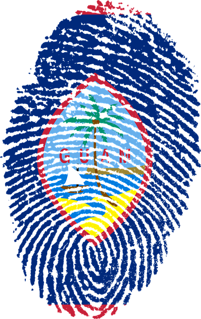Free guam flag fingerprint illustration