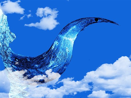 Free Clouds Nature illustration and picture