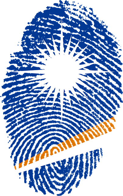 Free marshall islands flag illustration