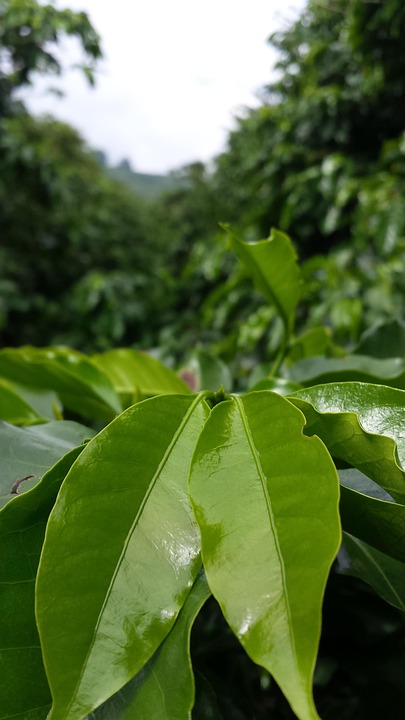 深交所暂免收ETF上市月费专家:意在提升交易量