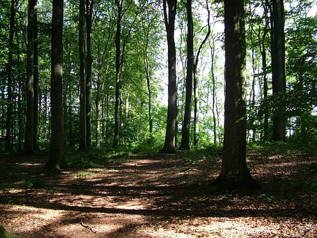 Free Beginning Of Spring Motivation photo and picture