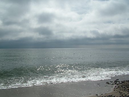 Free Baltic Sea Beach photo and picture