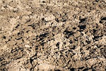 earth, topsoil, home