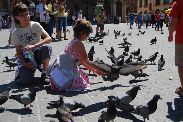 Kraków, De Markt, De Oude Stad, Duiven