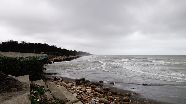Free Fishing Port Yongan photo and picture