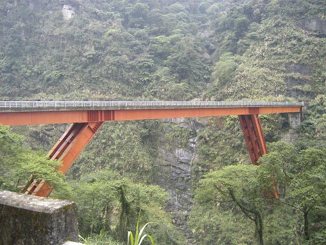 Free Bridge Bungee photo and picture