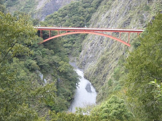 Free Bridge Bungee photo and picture