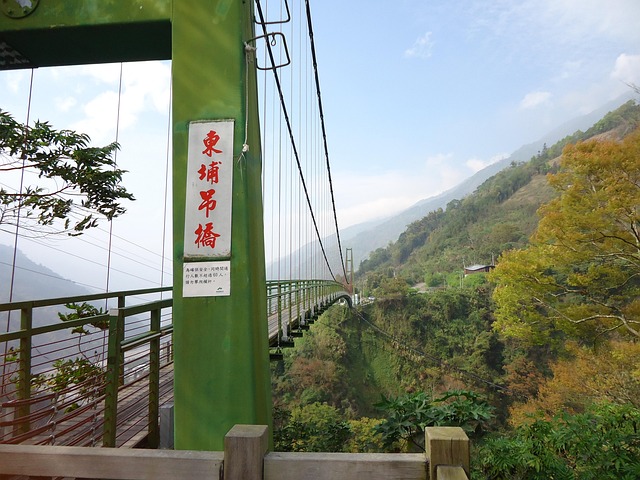 Free Bridge Bungee photo and picture