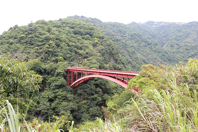 Free Bridge Bungee photo and picture