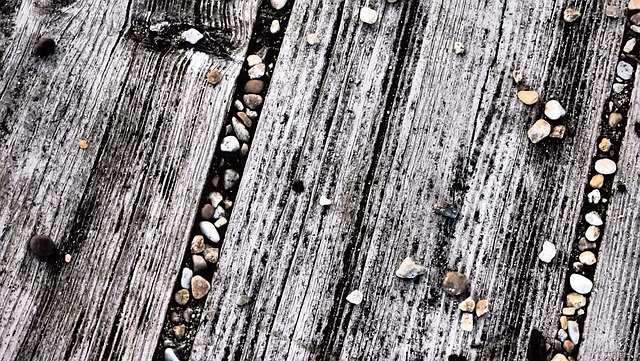 Free Wood Nature photo and picture