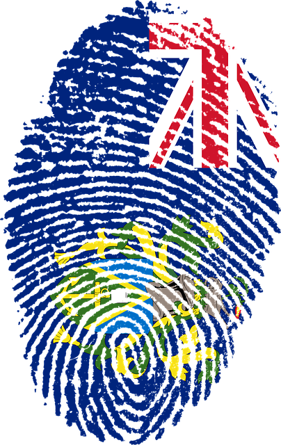 Free pitcairn islands flag illustration