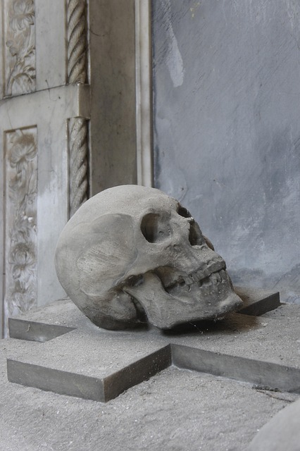 Download free HD stock image of Skull Sculpture Free Skull Sculpture photo and picture