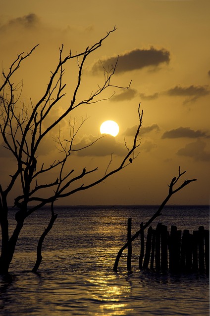 Free Sunset Cloud photo and picture