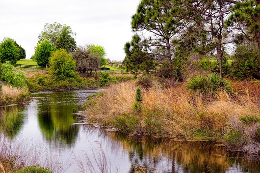 Free Landscape Nature photo and picture