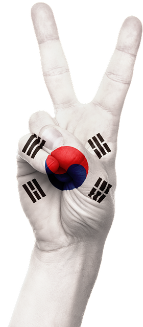Hånd, Sør Korea, Flagg, Nasjonal