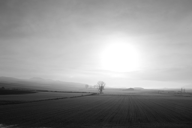Free Scenery Sunrise photo and picture