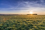 landscape, field, nature