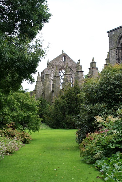 Free Scotland Edinburgh photo and picture