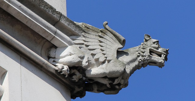 Free Dragon'S Head Drage photo and picture