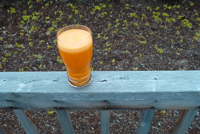 Free Carrot Juice Glass photo and picture